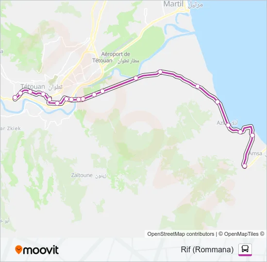 19 Bus Line Map