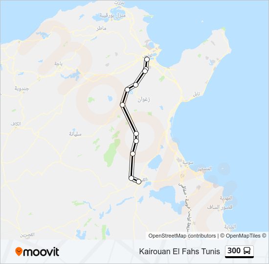 300 bus Line Map