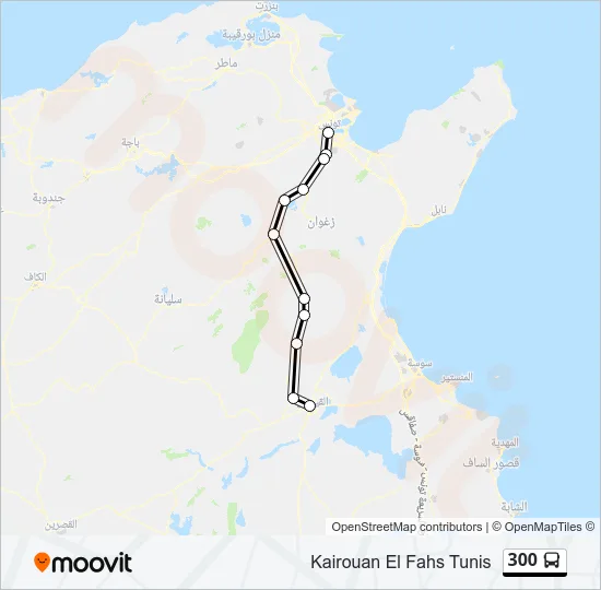 300 Bus Line Map