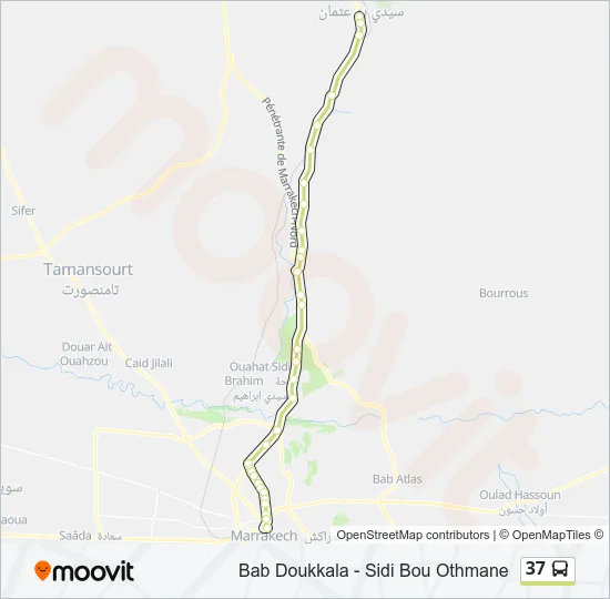 37 Bus Line Map