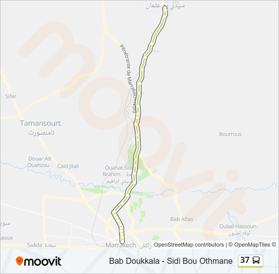 خريط الخط لـ 37 حافلة