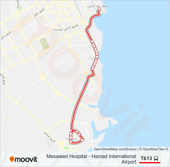 T613 Bus Line Map
