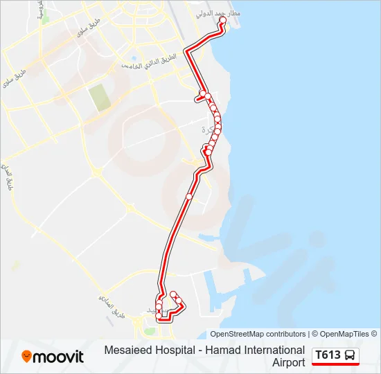 T613 Bus Line Map