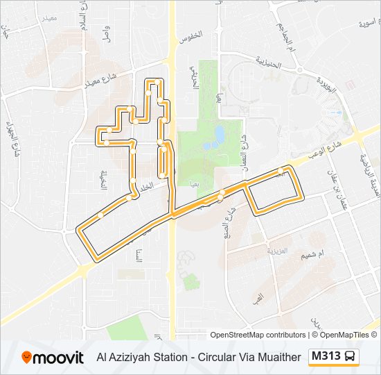 M313 Bus Line Map