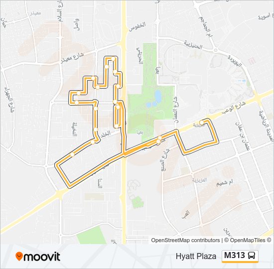 M313 Bus Line Map