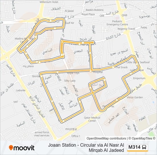 M314 Bus Line Map