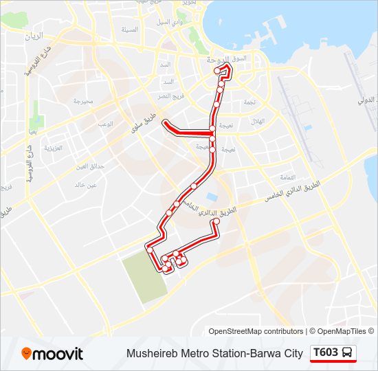 T603 bus Line Map