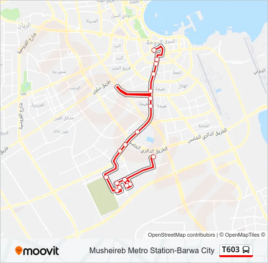 T603 Bus Line Map