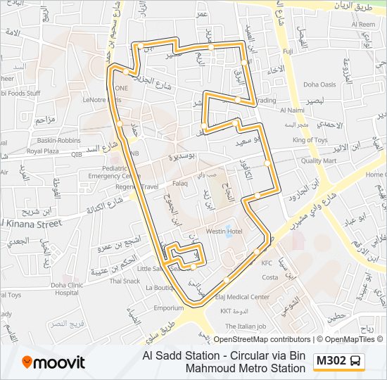 M302 Bus Line Map