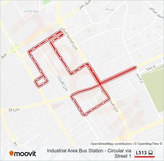 L513 Bus Line Map