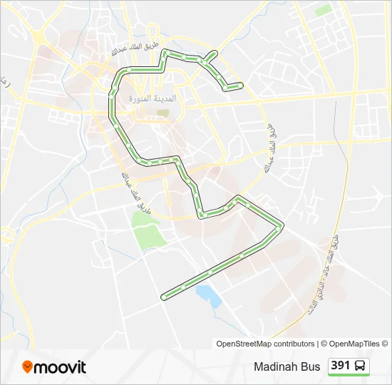 391 Route: Schedules, Stops & Maps - Shuran (Updated)