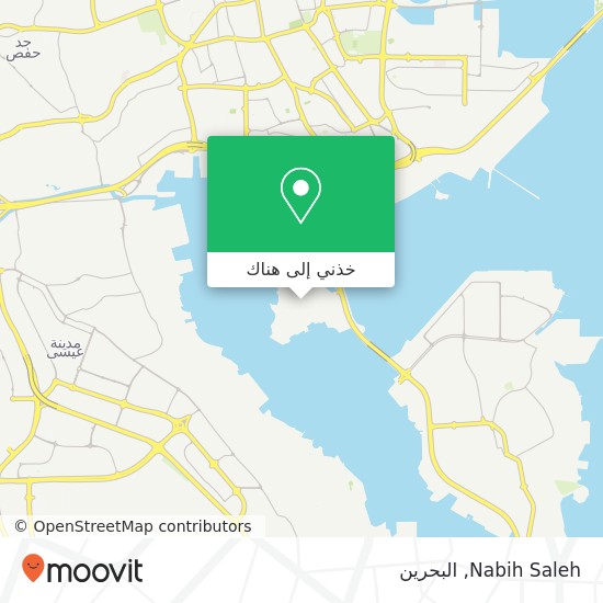 خريطة Nabih Saleh