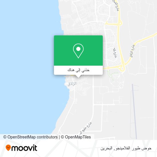 خريطة حوض طيور الفلامينجو