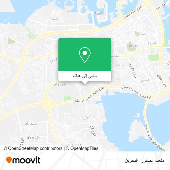 خريطة ملعب الصقور