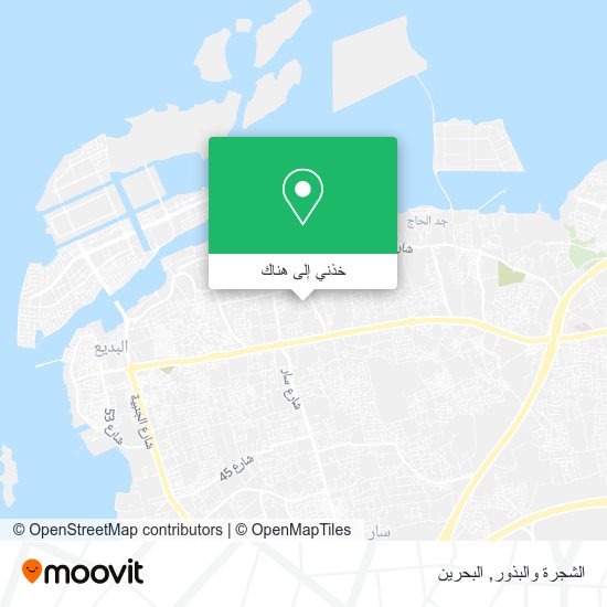 خريطة الشجرة والبذور
