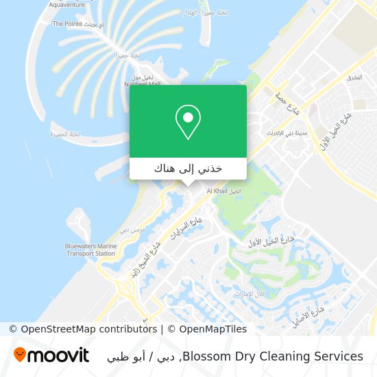 خريطة Blossom Dry Cleaning Services