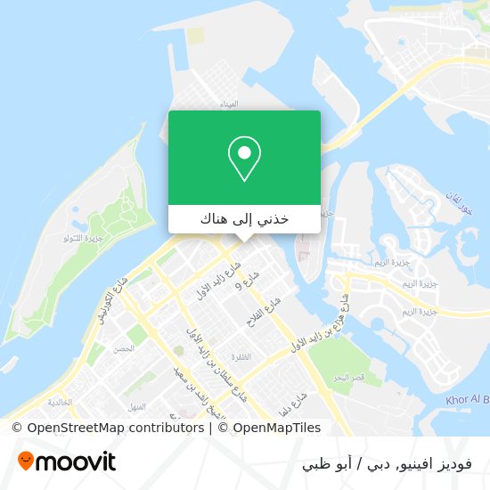 خريطة فوديز افينيو