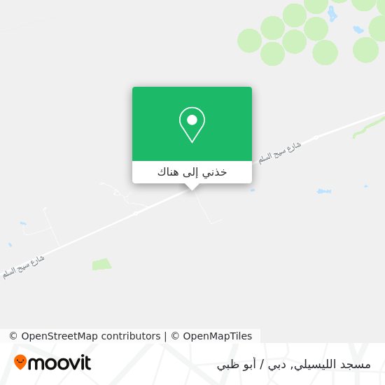 خريطة مسجد الليسيلي