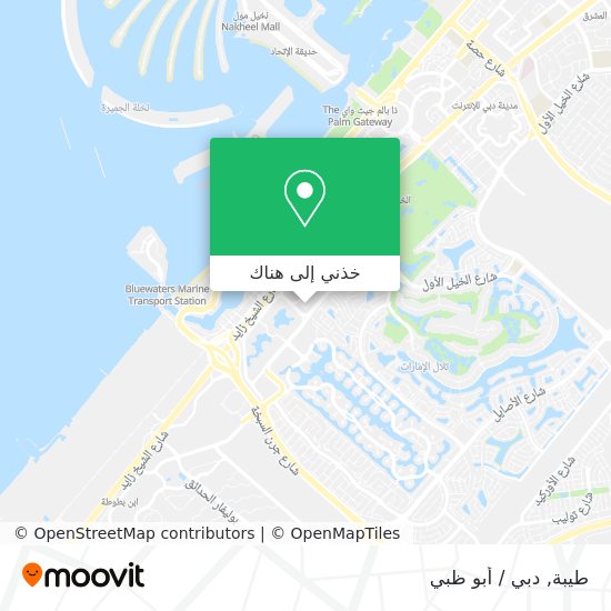 خريطة طيبة