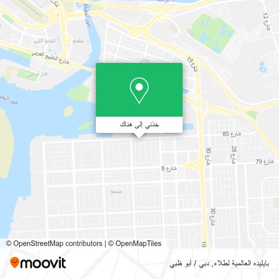 خريطة بايليده العالمية لطلاء