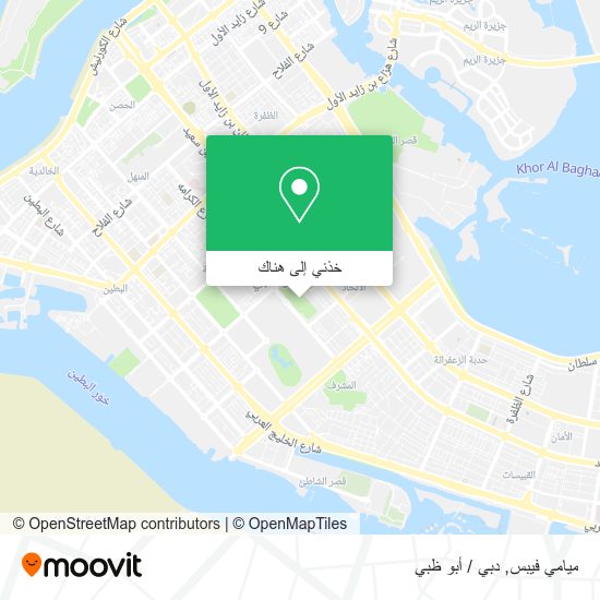 خريطة ميامي فيبس