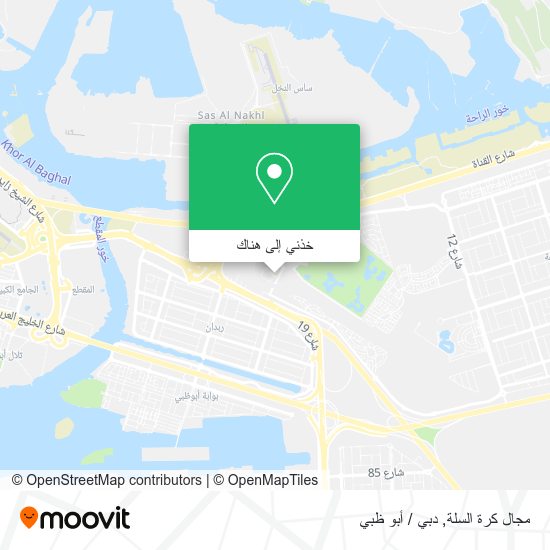 خريطة مجال كرة السلة