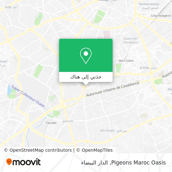 خريطة Pigeons Maroc Oasis