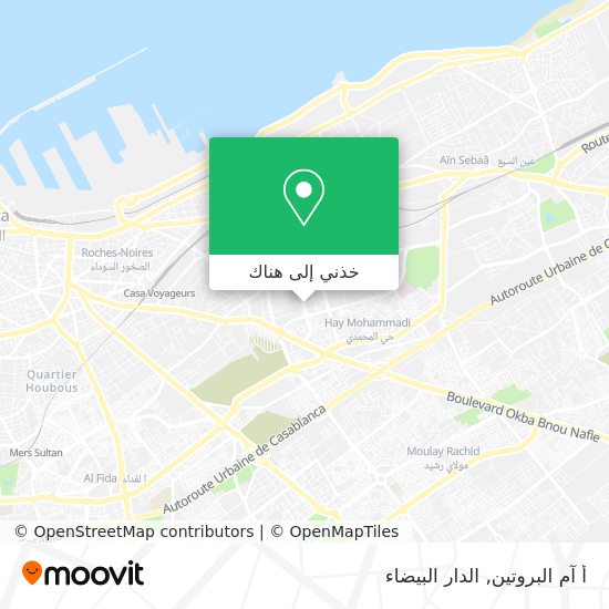 خريطة أ آم البروتين