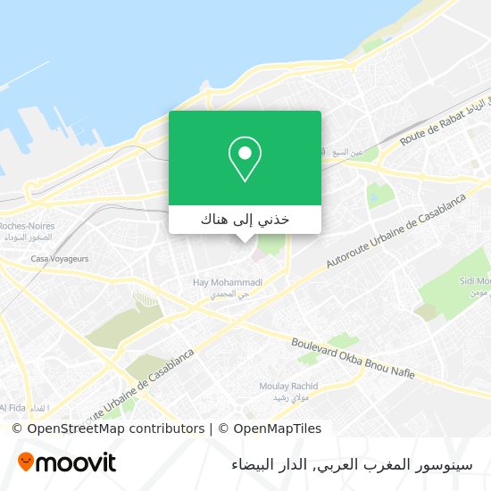 خريطة سينوسور المغرب العربي