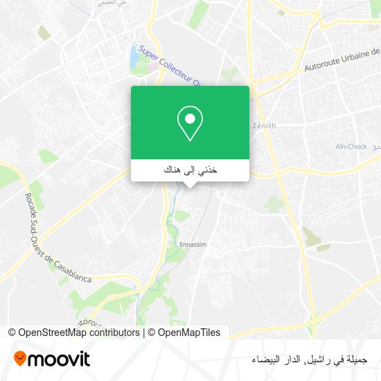 خريطة جميلة في راشيل