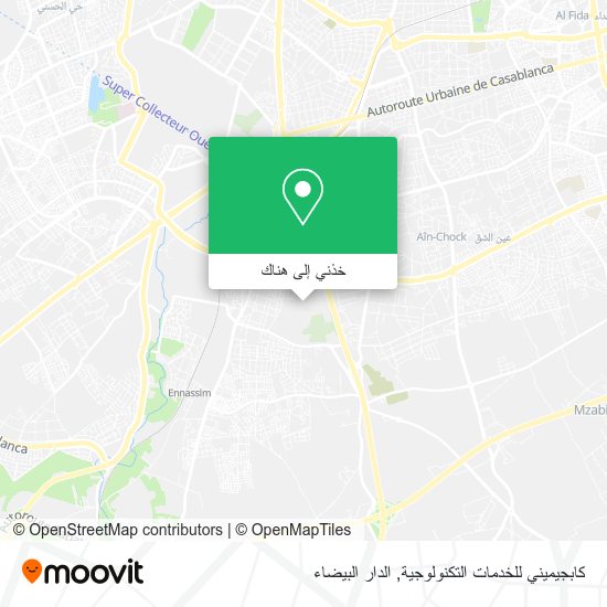 خريطة كابجيميني للخدمات التكنولوجية