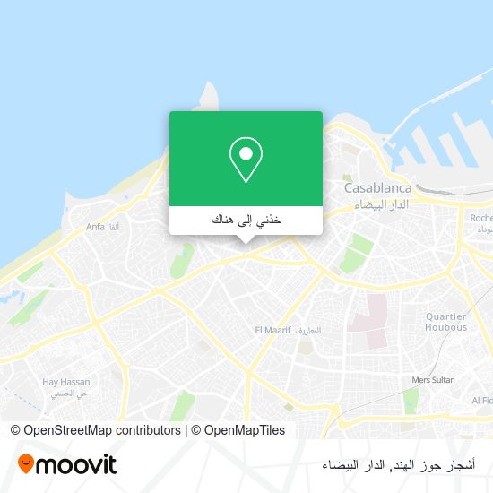 خريطة أشجار جوز الهند