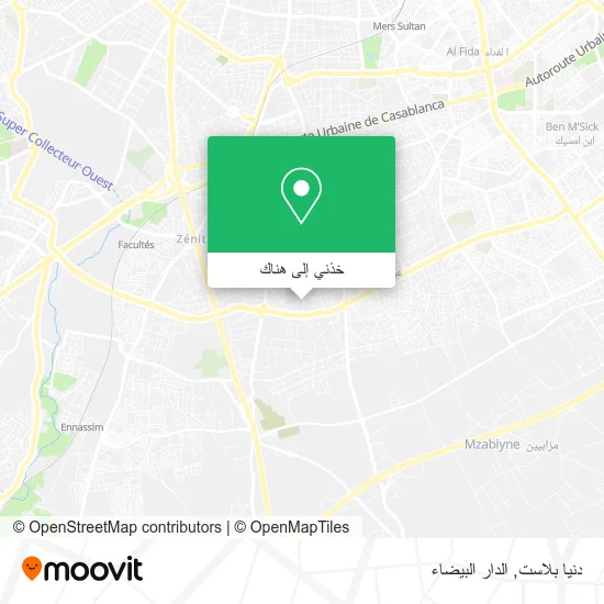 خريطة دنيا بلاست