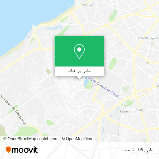 خريطة سلبي