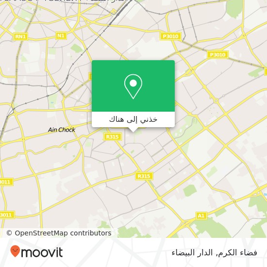 خريطة فضاء الكرم, زنقة الشهيد الوليدي الصغير بن مسيك, الدار البيضاء