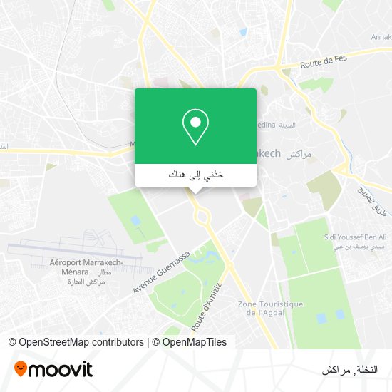 خريطة النخلة