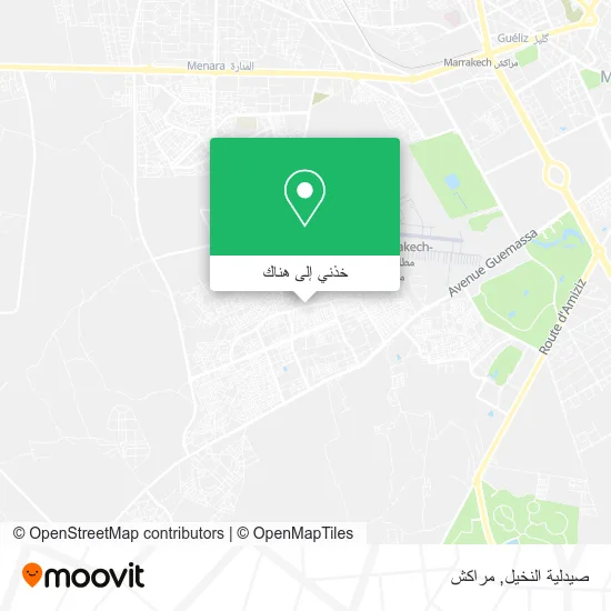 خريطة صيدلية النخيل