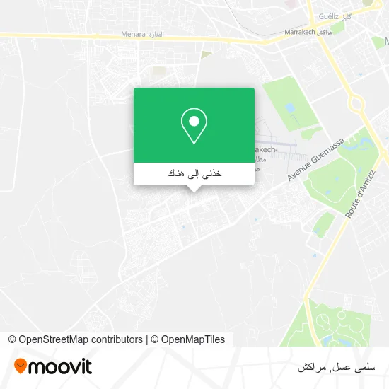 خريطة سلمى عسل