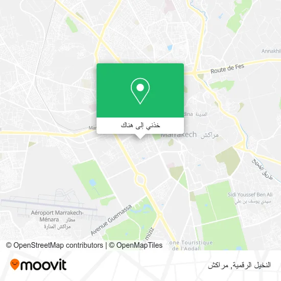 خريطة النخيل الرقمية