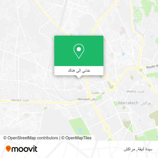 خريطة سيدة أنيقة