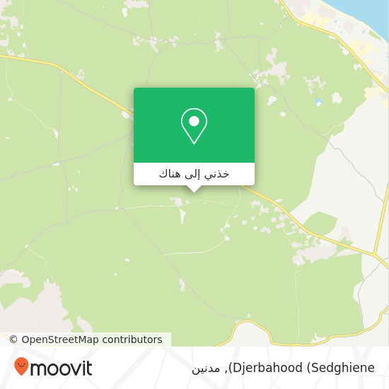 خريطة Djerbahood (Sedghiene)