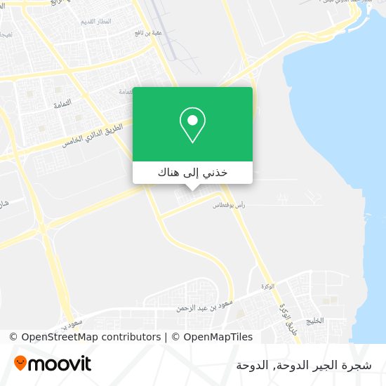 خريطة شجرة الجير الدوحة