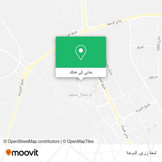 خريطة لمعة زري