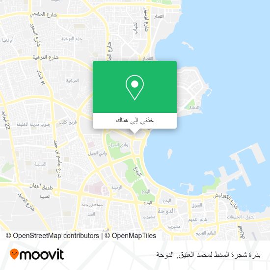 خريطة بذرة شجرة السنط لمحمد العتيق