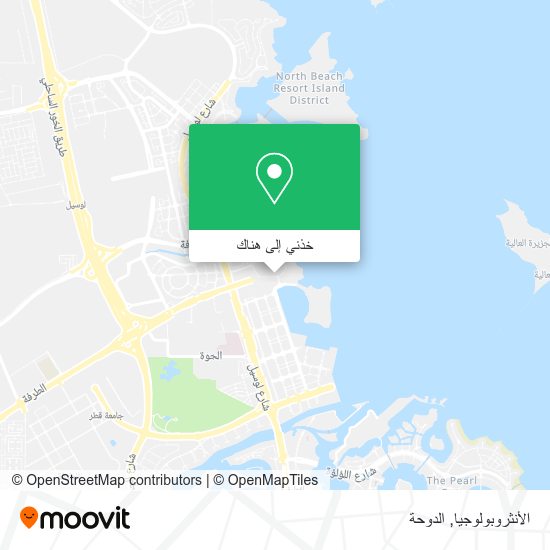 خريطة الأنثروبولوجيا