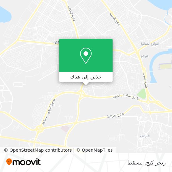 خريطة زنجر كنج