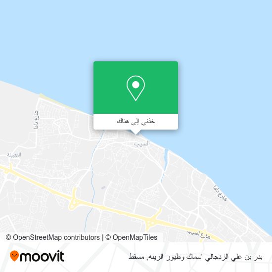 خريطة بدر بن علي الزدجالي اسماك وطيور الزينه
