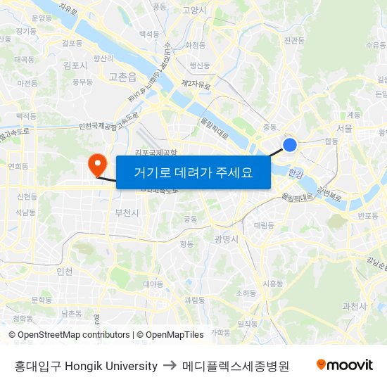 홍대입구 Hongik University to 메디플렉스세종병원 map