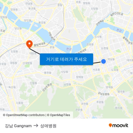 강남 Gangnam to 성애병원 map