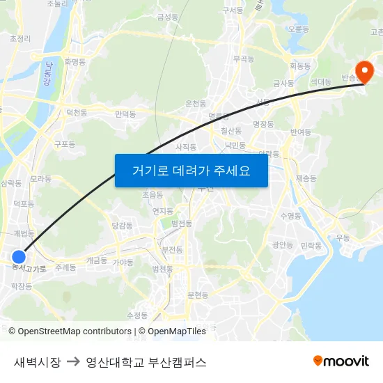 새벽시장 to 영산대학교 부산캠퍼스 map
